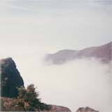 Vegetation along the ridge of the Cullin Hills above the mist