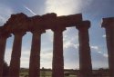 Birds and silhouette of columns of Temple E, or "Temple of Hera," at Selinus (now Selinunte) 
