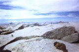 Marmot enjoying lunch on the summit of Mount Whitney