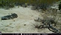 TCPCAM1-04