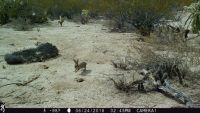 TCPCAM1-04