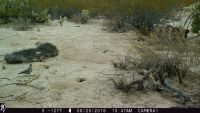 TCPCAM1-04