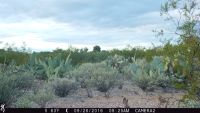TCPCAM2-10