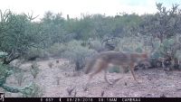 TCPCAM2-10